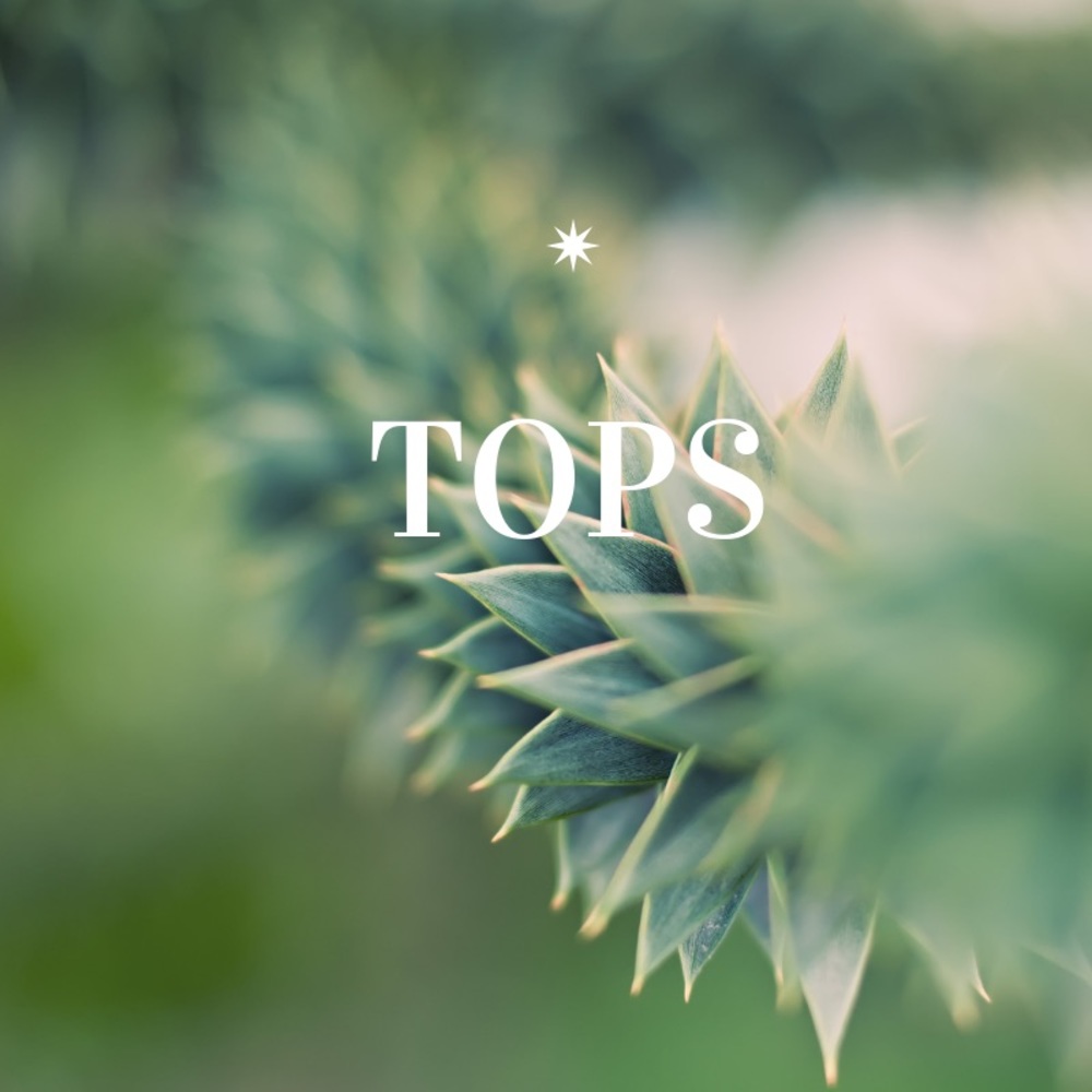 Tops